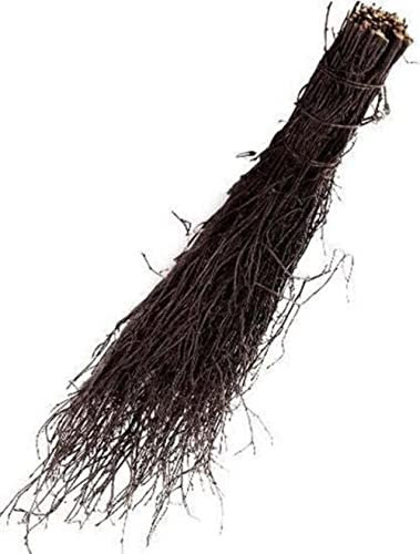 Synx Tools Scopa da strega - Scopa di betulla - Ginestra - Scopa - Scopa - scope - coltivatori del suolo - Senza gambo