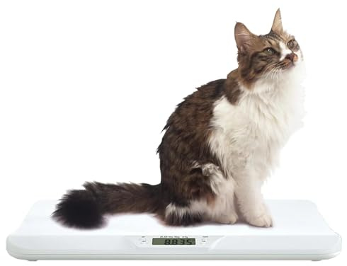 Bilancia multifunzionale per neonati e animali domestici (adatta per animali di piccola taglia e di taglia media con 40 libbre di cucciolo e gattino) (20 kg