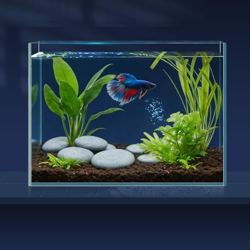 LAQUAL Kit Acuario de 7.6 L con Red, sifón & 2 paños de Limpieza, Cristal Transparente, pequeño Acuario para Betta y Peces Dorados, Bonita decoración del hogar