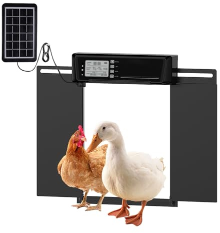 Puerta de gallinero automática grande solar, con temporizador y sensor de luz, función inteligente antipellizcos, pantalla LCD programable y control remoto, energía solar y dos métodos de fuente de