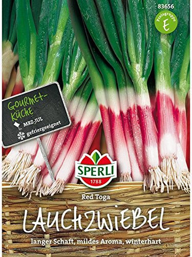 Sperli Gemüsesamen Lauchzwiebel rot Toga, grün