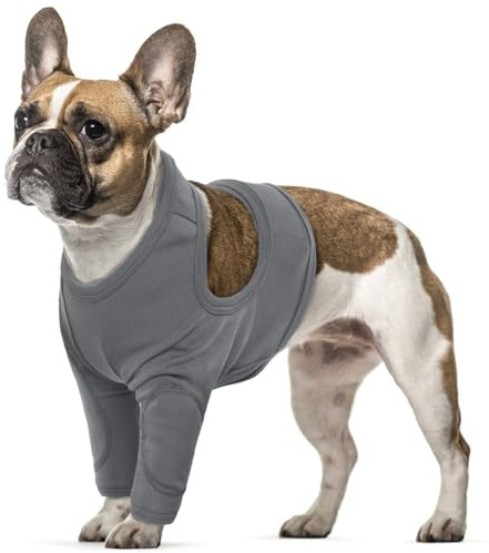 Body per cane dopo l'intervento chirurgico, tuta per il recupero di piccole taglie, gilet chirurgico per ferite, protezione per le gambe di cane di piccola taglia (grigio, S)