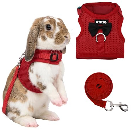 AIITLE Ensemble harnais et laisse pour lapin avec joli nœud, gilet en maille souple et respirante de Noël pour lapins, chatons, furets, chiots et petits animaux, fournitures de promenade Rouge S