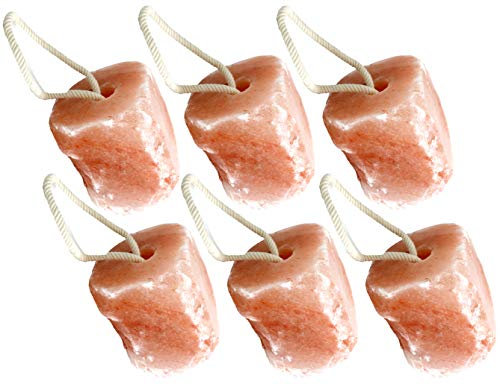 Landkaufhaus Mayer Salzleckstein 6 Stück einzeln eingeschweißt 19,5 kg Premiumqualität aus der Saltrange in Pakistan - Typ Himalaya*