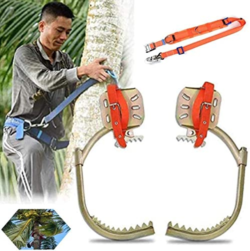 Juego de pinchos para escalada de árboles Observación de caza Equipo de recolección de frutas Artefacto para trepar árboles - Pinchos para escalada de árboles y accesorios de trabajo