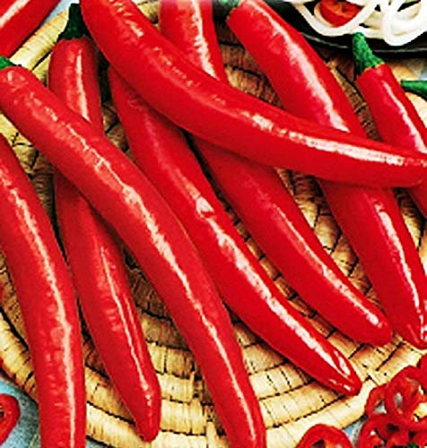 Graines de poivre de cayenne épicées - légumes - capsicum annuum - 300 graines environ - les meilleures graines de plantes - fleurs - fruits rares - poivrons épicés - idée cadeau originale
