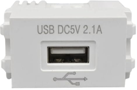 Iegefirm Handy-Ladepanel 220V-Buchse 5V-Transformator 2,1A USB-Ladesteckdose Schaltadapter 1 Stück