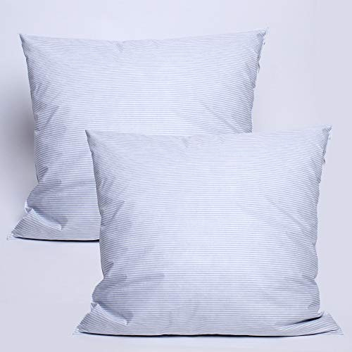 univers decor Lot de 2 oreillers Plumes 65 x 65 cm Dodo