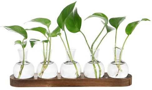 Everkeen Vase à fleurs avec plateau en bois - Station de propagation - Vase en verre - Pour terrarium et plantes hydroponiques - Petits vases décoratifs pour le salon, le bureau