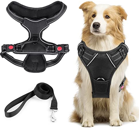 Pettorina Cane Regolabile e Riflettente - Imbracatura Traspirante per Cani Taglia Grande, Gilet con Guinzaglio - Antifuga per Corsa, Passeggiate, Jogging