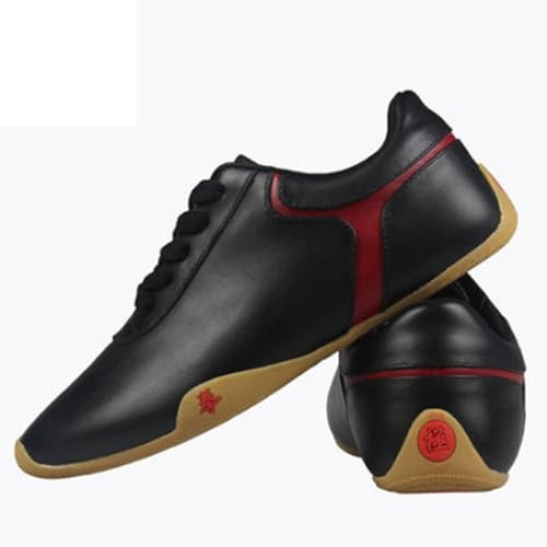 XUHCLY Tai Chi Shoes Men Tai Chi Wu Shu Kung fu Shoes Women Kids Men Adults Kung fu Shoe Non Slip Comfortable Lightweight Martial Arts Taekwondo Training Shoe(Size:44 EU/9.5 US,Color:Black)