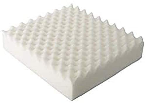 Antar AT03010 Igelkott Sittplats Kudde utan Omslag 470 g, 45 cm Längd x 40 cm Bredd x 10 cm Höjd