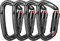 Karabiner Klettern, 4 Stück Schwerlast Kletter Karabiner,Es Könnte Max 2550kg Halten, TOOSOAR Kletterkarabiner für Bergsteigen, Abseilen, Hängematten, Schaukel