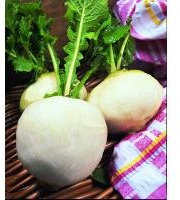Kings Seeds - Turnip, Snowball
