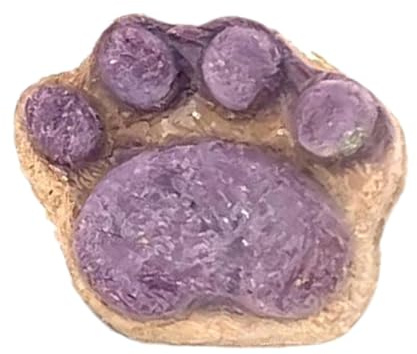 Golosinas para gatos, golosinas para gatos de apartamento, galletas para patas de gato, golosinas para gatitos, golosinas saludables para gatos, golosinas para gatos secas, galletas naturales para