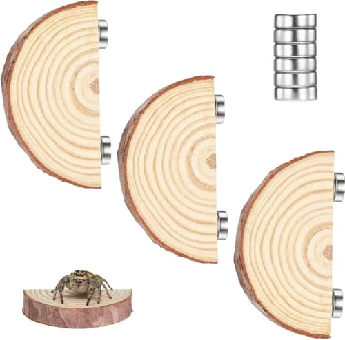 Azttior Set di 3 Piattaforme Magnetiche da Arrampicata per Ragno Saltatore in Legno Naturale – Piattaforme Semicircolari, Accessori per Terrario, Aiuto Arrampicata Riposo Decorazione, 4-5 cm