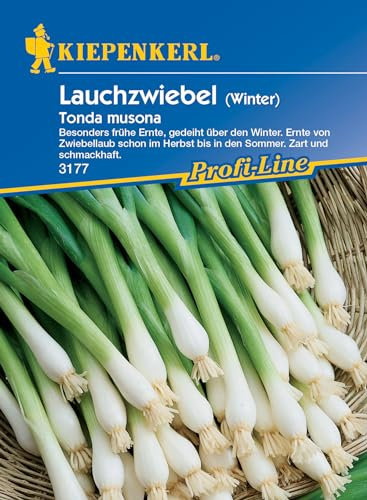 Kiepenkerl Profi-Line Winterlauchzwiebelsamen Tonda musona - Gemüsesamen für winterharte Zwiebeln, Ideal für Direktsaat & Frühernte, Vielseitige Gemüse & Porreesamen