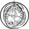 Butterfly Wind Spinner Outdoor, 7.0 Inch 3D Metal Garden Yard Spinner Hanging, Silver Kinetic Wind Spinner Sculpture for Window Indoor Decoration Ornaments Gift Women
