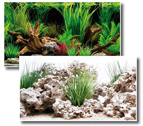 Amtra Deko Fotorückwand Wonder beidseitig bedruckt in verschiedenen Größen 2in1 Rückwandposter Dekoration Aquarium Rückwand, Fotorückwand Wonder:150x60cm