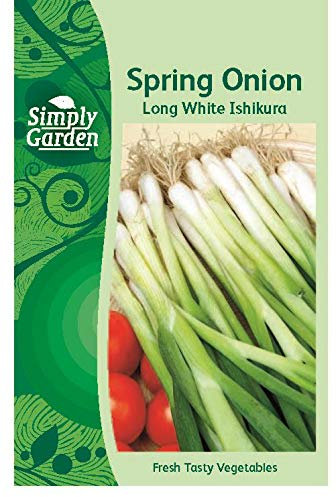 Spring Onion Seeds Long White Ishikura – Bunching Salad Onion Vegetable Seeds for Garden & Containers – Easy-to-Grow Grow Your Own