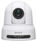 Sony SRG-X400 Cámara de seguridad IP Almohadilla Techo/Poste 3840 x 2160 Pixeles