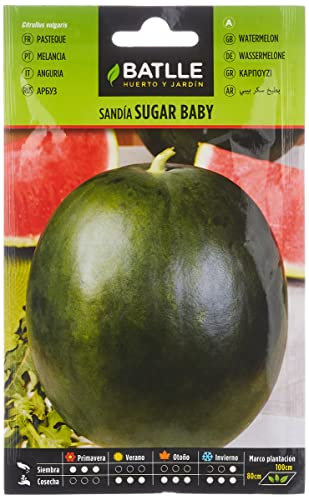 Semences horticoles de Batlle - Pastèque Sugar baby (8g), Rouge,Verte