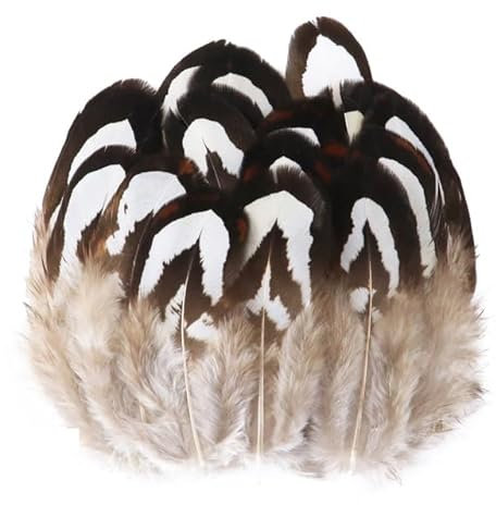 20/50/100 Stück natürliche Pfauenfasanenfedern zum Basteln, Straußenfedern, Schmuckherstellung, dekorative Pfauenfedern – 5–9 cm, 100 Stück