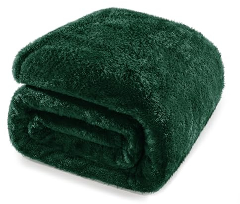 Whale Flotilla Fleece Queen Size Blanket for Bed, 230x230 CM Decorative Soft Fluffy Emerald Green Blanket, Large Plush Thick Sofa Throw for All Season