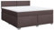 vidaXL Boxspringbett, Polsterbett Bett mit Matratze Matratzenauflage, Bettgestell mit Kopfteil Lattenrost, Doppelbett für Schlafzimmer, Dunkelbraun 180x200cm Stoff