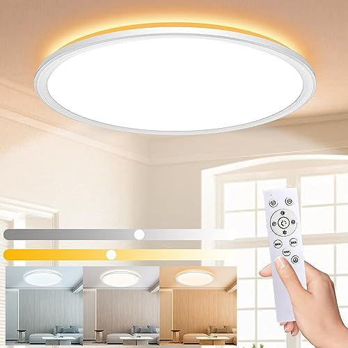 Wholede 24W Plafoniera LED Soffitto Dimmerabile, 3000LM Lampadario LED Soffitto con Telecomando, Ø29.5CM Moderna Plafoniere per Cucina, Bagno, Camera da Letto, Soggiorno, Balcone, Corridoio, Ufficio