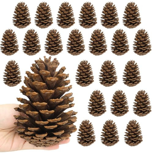 Larber 24 PCS Large Pine Cones,11-14cm Pinecones Fir Cones for Crafts Christmas Tree Table Vase Fillers Winter Decorations(Unscented) (24 pcs)