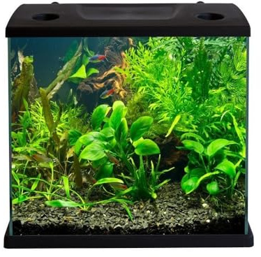 Aquariumline Cleo Plus 22,5L – Acquario Completo con Filtro Interno – 34,5 x 23,5 x 33,5 cm colore nero