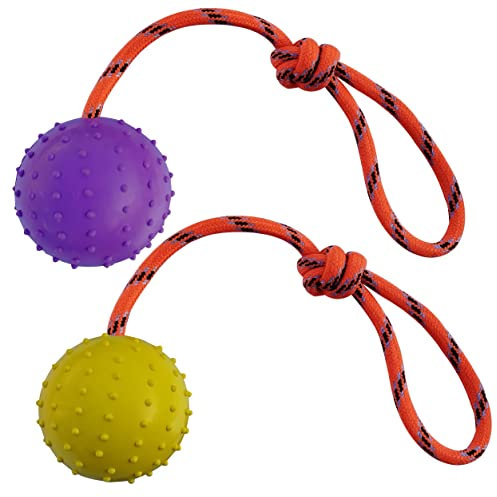 MMSGA 2Pcs Ball am Seil für Hunde und Katzen，trainingsball mit Seil,Hohlkugel aus Naturgummi Für Apportieren,Werfen und Schleppen des Krieges,Nicht geeignet für Starke Kaukraft Hund (L, Lila+Gelb)