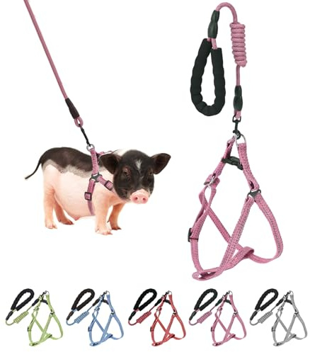 YeeBeny Harnais réglable pour petit cochon avec laisse - Laisse de style Infinity et poignée en mousse souple pour petits et moyens animaux de compagnie, pour la marche, l'entraînement, le jogging