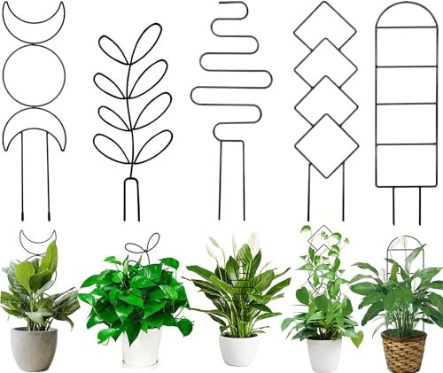 Griglia per piante rampicanti, 5 pezzi, traliccio per piante, traliccio per piante da interno, filo metallico, traliccio da giardino, piccolo traliccio per piante d'appartamento, decorazione