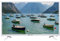 EMtronics Televisor LED HD de 32 pulgadas blanco con Freeview, HDMI, reproductor multimedia USB, coaxial, AUX, grabación PVR