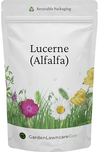 Lucerne Alfalfa Seeds - Premium Wildflower Green Manure for Soil Health & Pollinators - Medicago Sativa - Garden Lawncare Guy (100g)
