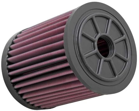 K&N E-1983 Voitures Filtre à air de Remplacement, Lavable et Réutilisable