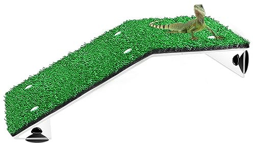 Kasmole Escalada Tortuga césped - Accesorios Tortuga para decoración terrario Reptiles - Accesorios para Tanque Agua Tortuga acuática Escalada