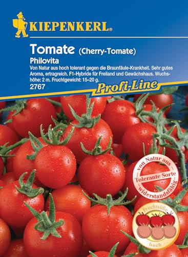 Kiepenkerl Profi-Line Cherry-Tomatensamen Philovita, F1 2767 – Tolerante Sorte - Ertragreich - Wuchshöhe 2 m - Samen Gemüse, Gemüsesamen, Saatgut
