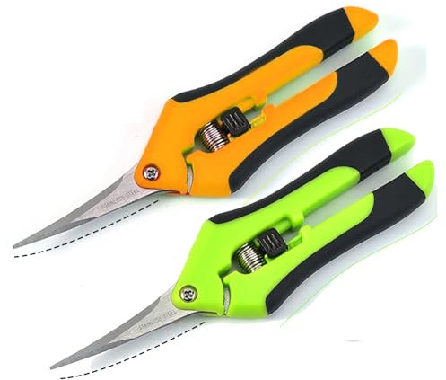 SDKZBFC 2 paire Sécateur Sécateur pour fleurs Sécateur de lecture Sécateur pour branches, acier Sécateur pour arbres fruitiers Coude en acier inoxydable Sécateur d'élagage