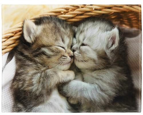 YISUMEI Decke 75x100 cm Kuscheldecken Sanft Flanell Weich Fleecedecke Bettüberwurf EIN Paar Süße Katzen