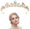 Diadema dorada, elegante corona de boda para mujer, de aleación de zinc, con tiara para boda, tiara, corona dorada, corona de cumpleaños, corona de princesa, para bodas, bailes, desfiles, fiestas