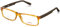 Carrera Herren CA6655 TRI 55 Sonnenbrille, Braun (Havana Brown)