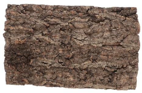 BESPORTBLE Reptiler korkbark: Kork terrarium bakgrund 50 x 30 cm, naturlig bark, reptil klättermatta för bartagamn, ödlor, geckos, sköldpaddor