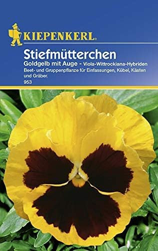 Kiepenkerl Stiefmütterchensamen Goldgelb mit Auge 953 - Beet- und Gruppenpflanze für Einfassungen, Kübel, Kästen und Gräber - Blumensamen, Saatgut