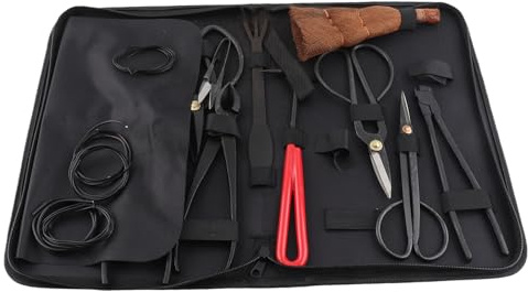 Bonsaierde 1L, Bonsai Starter Set mit Harz Werkzeug, Schere und Tonscherben – für Hobbygärtner, Repotting Tools und Baumzucht