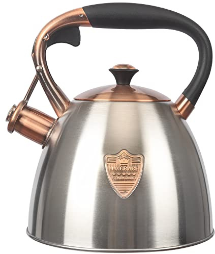 Tea Kettle -2.9 Quart Tea Kettles Stovetop Whistling Teapot Stainless Steel Tea Pots for Stove Top Whistle Tea Pot