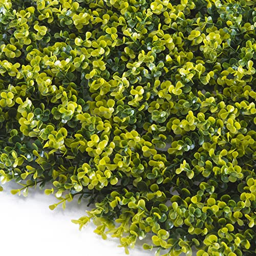 TENAX Divy Panel Buxus 100x100 cm Verde, Pannello Modulare con Foglie Artificiali 3D tipo Bosso per Pareti, Giardini Verticali e Decorazioni Indoor/Outdoor
