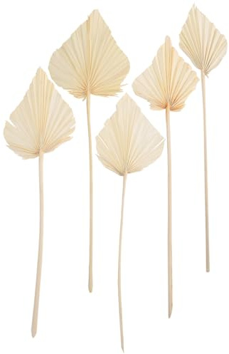 CVUTOVO 5 Stück Getrocknete Palmblatt Fächer Natürliche Trockenpflanzen Wanddekoration Weißes Palmblatt Ornament für Hochzeiten Valentinstag und Wohnraumgestaltung